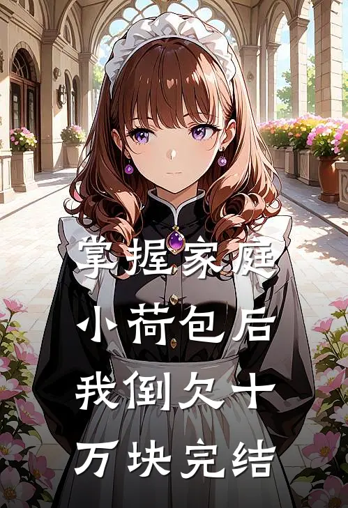 掌握家庭小荷包后，我倒欠十万块完结