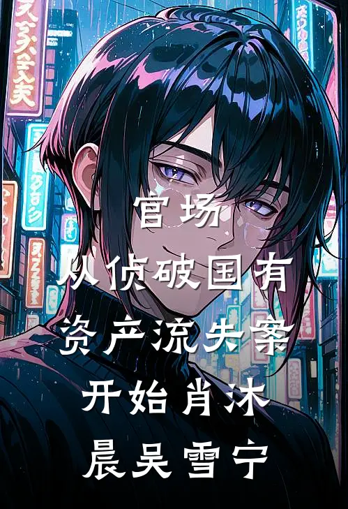 官场：从侦破国有资产流失案开始肖沐晨吴雪宁