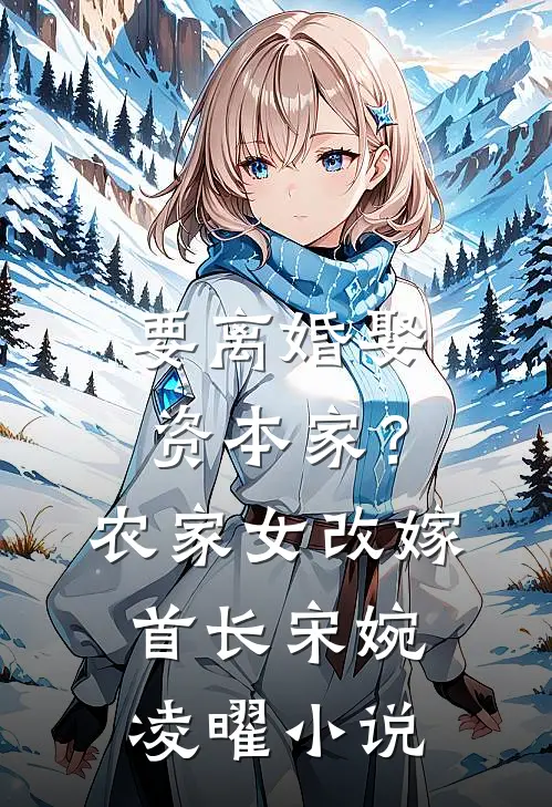 要离婚娶资本家？农家女改嫁首长宋婉凌曜小说