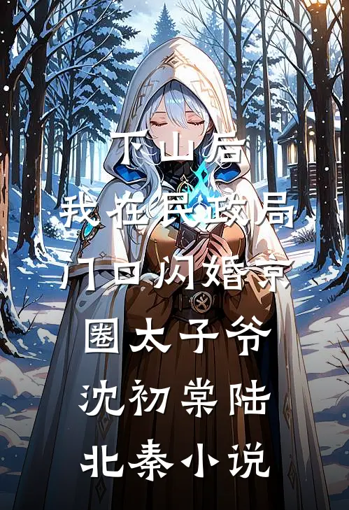 下山后，我在民政局门口闪婚京圈太子爷沈初棠陆北秦小说