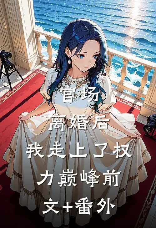 官场：离婚后，我走上了权力巅峰前文+番外