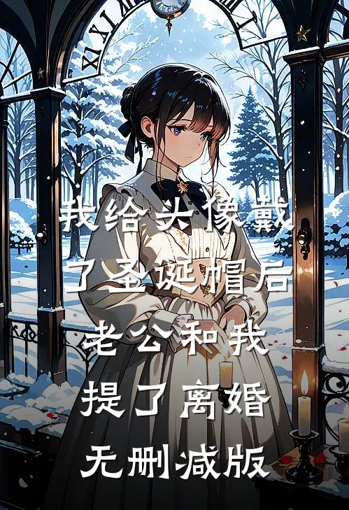 我给头像戴了圣诞帽后，老公和我提了离婚无删减版