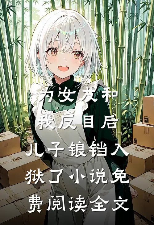 为女友和我反目后，儿子锒铛入狱了小说免费阅读全文