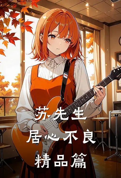 苏先生，居心不良精品篇