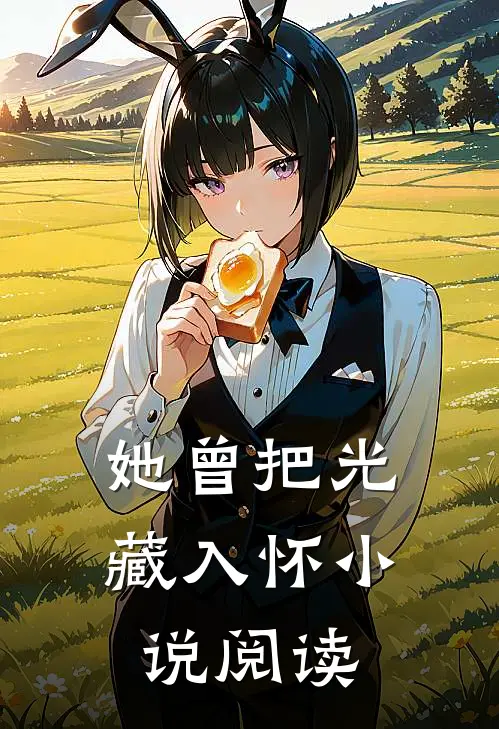 她曾把光藏入怀小说阅读