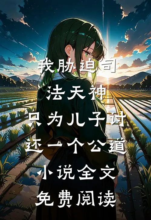 我胁迫司法天神，只为儿子讨还一个公道小说全文免费阅读