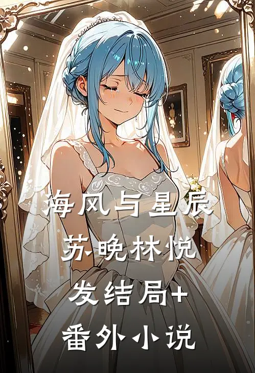 海风与星辰苏晚林悦发结局+番外小说