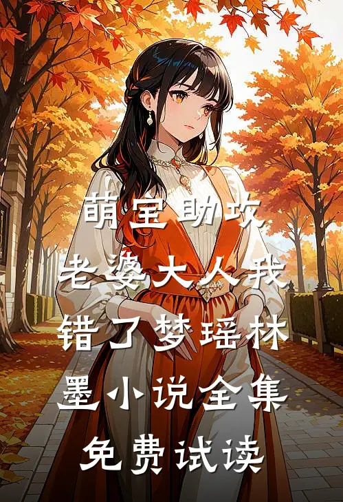 萌宝助攻：老婆大人我错了梦瑶林墨小说全集免费试读
