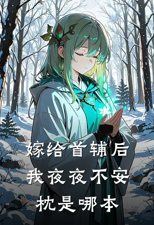 嫁给首辅后我夜夜不安枕是哪本