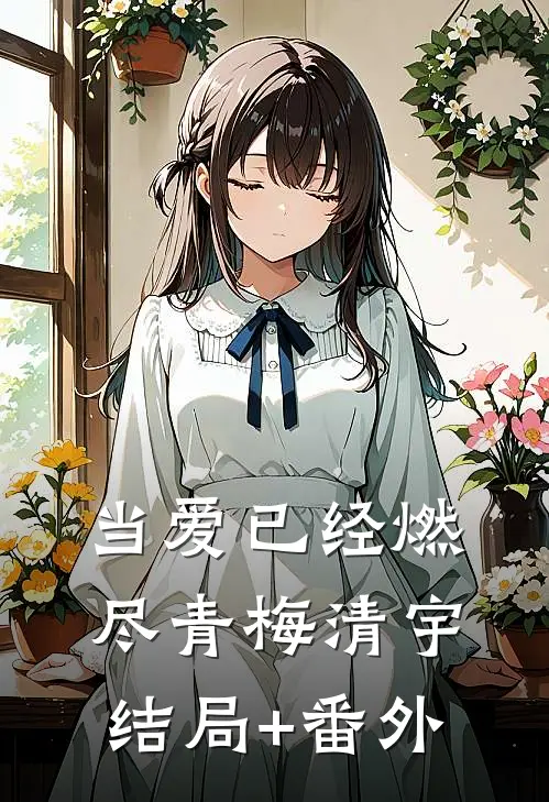 当爱已经燃尽青梅清宇结局+番外