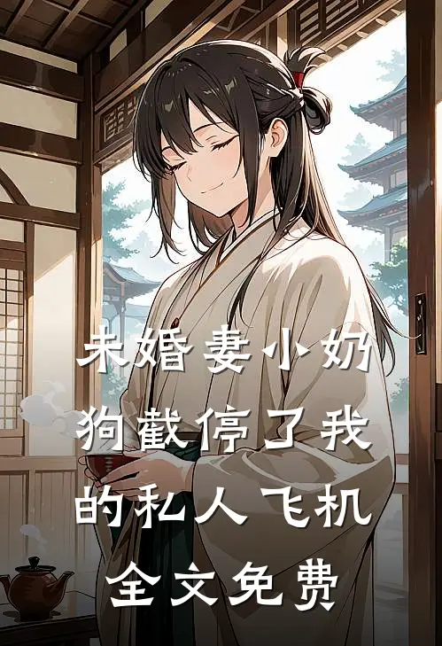未婚妻小奶狗截停了我的私人飞机全文免费