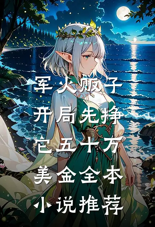 军火贩子：开局先挣它五十万美金全本小说推荐