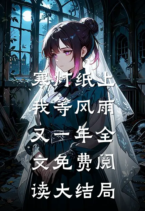 寒灯纸上，我等风雨又一年全文免费阅读大结局