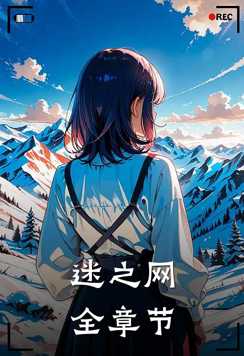 迷之网全章节