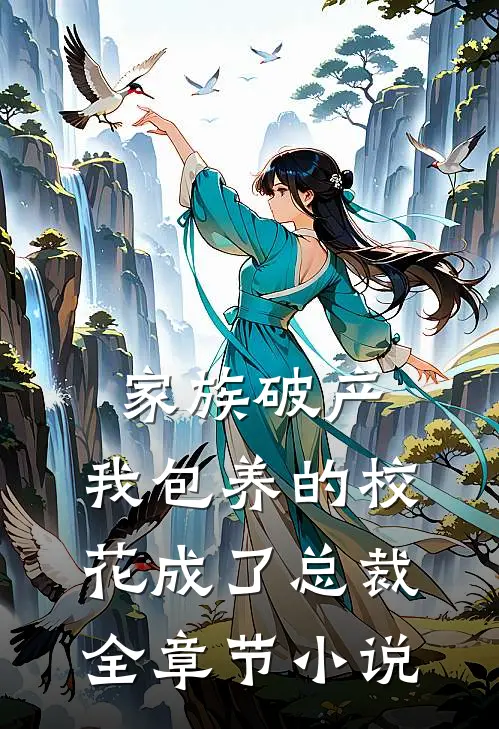 家族破产，我包养的校花成了总裁全章节小说