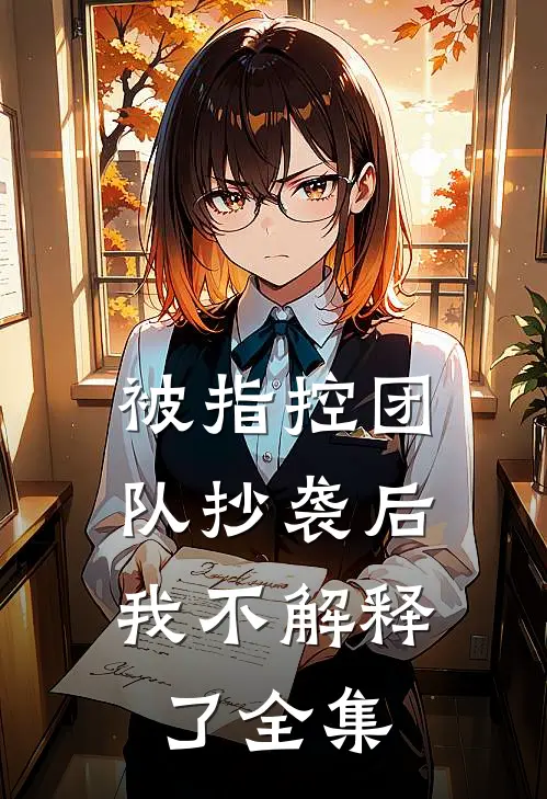 被指控团队抄袭后，我不解释了全集