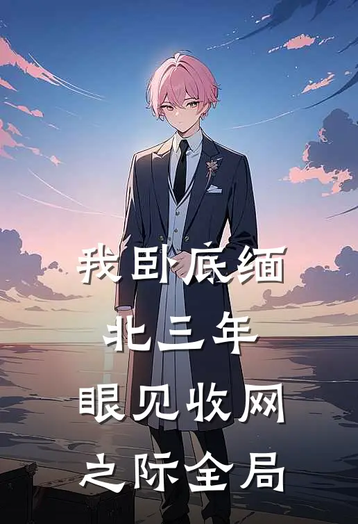 我卧底缅北三年，眼见收网之际全局