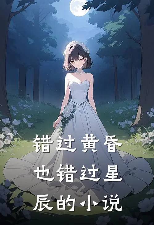 错过黄昏也错过星辰的小说
