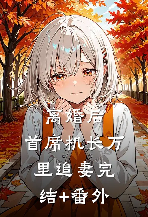 离婚后，首席机长万里追妻完结+番外