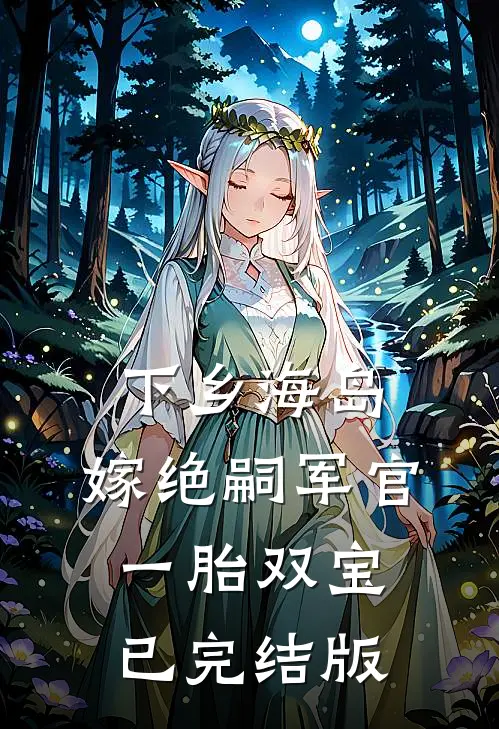 下乡海岛，嫁绝嗣军官一胎双宝已完结版