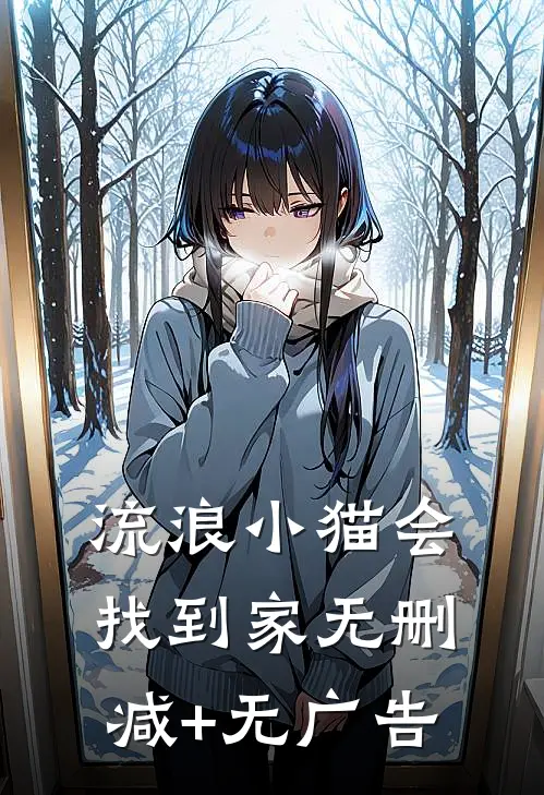 流浪小猫会找到家无删减+无广告