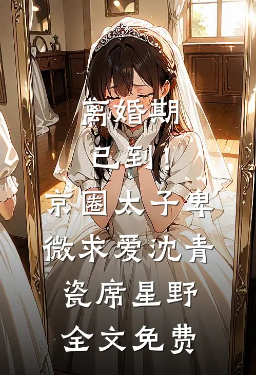 离婚期已到！京圈太子卑微求爱沈青瓷席星野全文免费