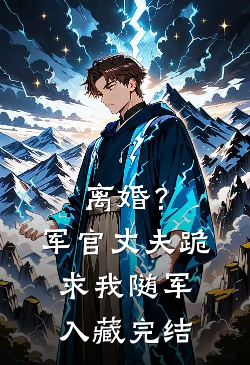 离婚？军官丈夫跪求我随军入藏完结