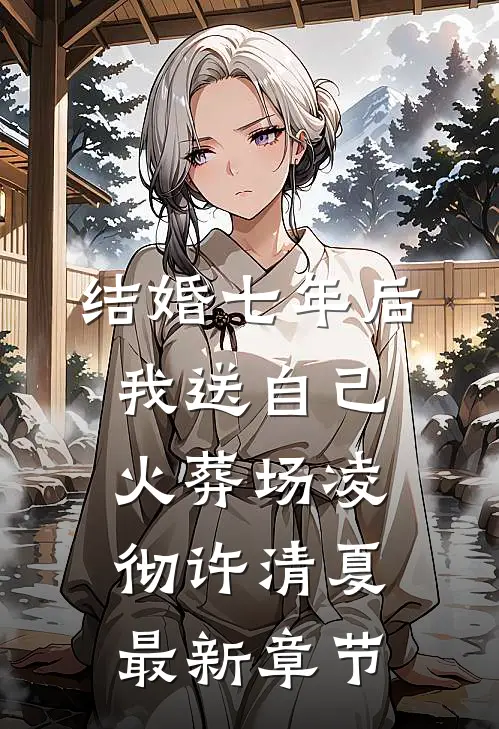 结婚七年后，我送自己火葬场凌彻许清夏最新章节