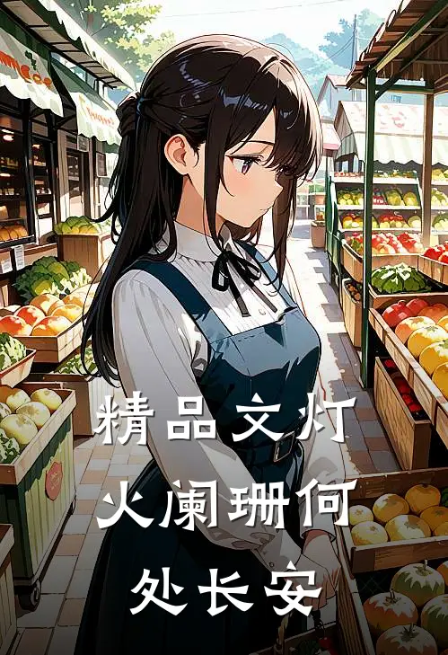 精品文灯火阑珊何处长安