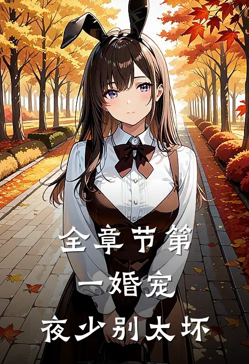 全章节第一婚宠：夜少别太坏