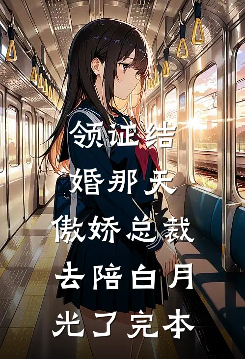 领证结婚那天，傲娇总裁去陪白月光了完本