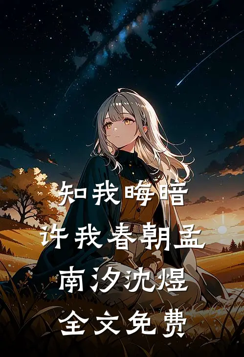 知我晦暗，许我春朝孟南汐沈煜全文免费