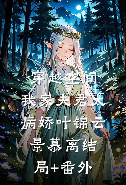 穿越空间：我家夫君太病娇叶锦云景慕离结局+番外