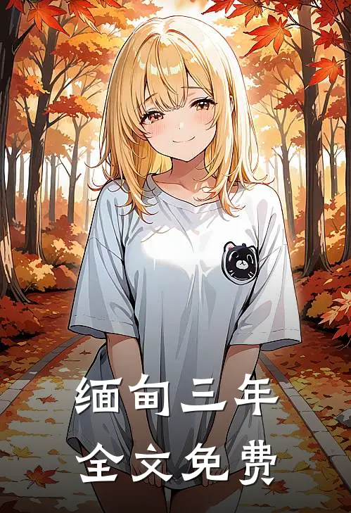 缅甸三年全文免费