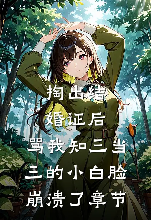 掏出结婚证后，骂我知三当三的小白脸崩溃了章节