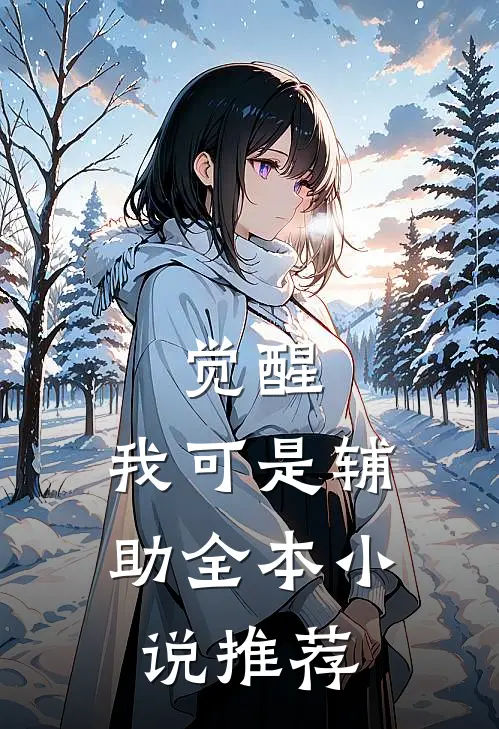觉醒：我可是辅助全本小说推荐
