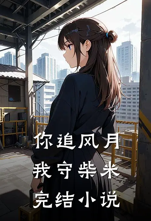 你追风月，我守柴米完结小说