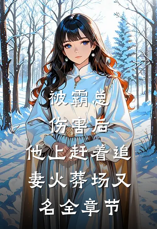 被霸总伤害后,他上赶着追妻火葬场又名全章节