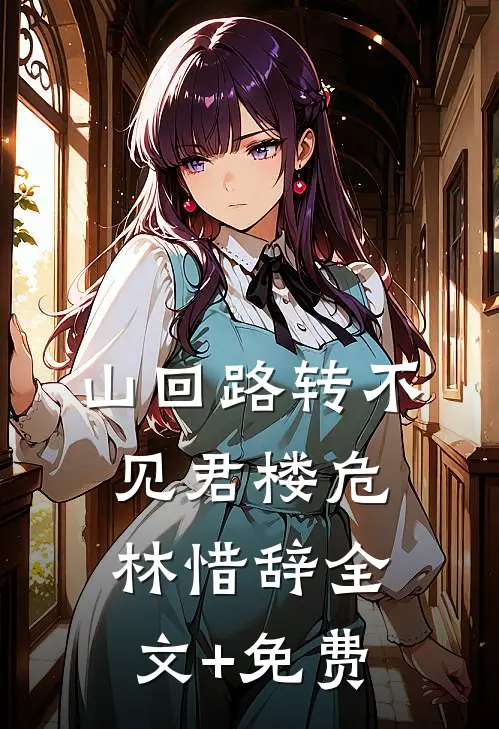 山回路转不见君楼危林惜辞全文+免费