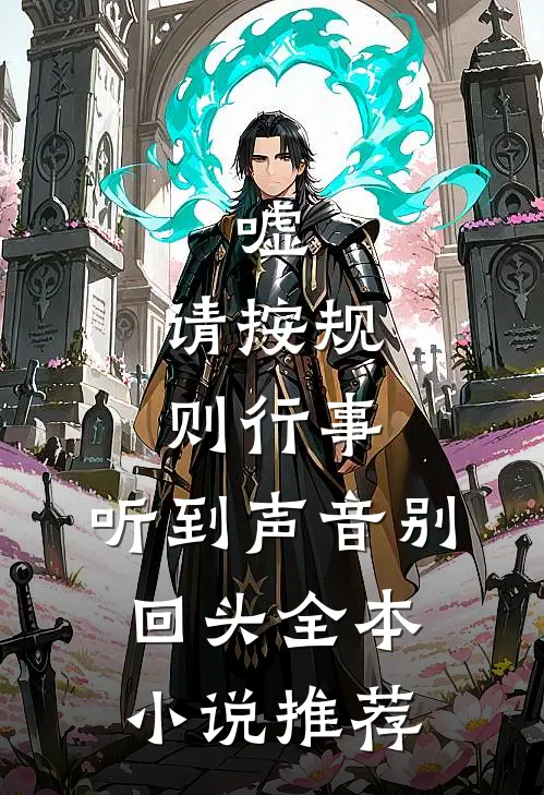 嘘，请按规则行事，听到声音别回头全本小说推荐