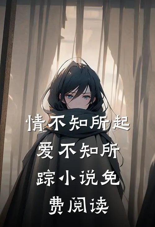 情不知所起，爱不知所踪小说免费阅读