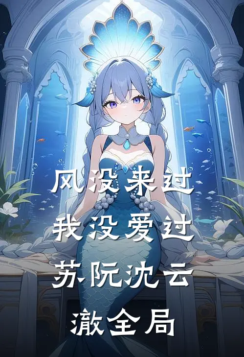 风没来过，我没爱过苏阮沈云澈全局