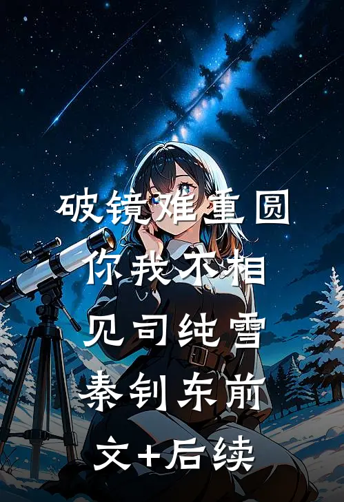 破镜难重圆，你我不相见司纯雪秦钊东前文+后续