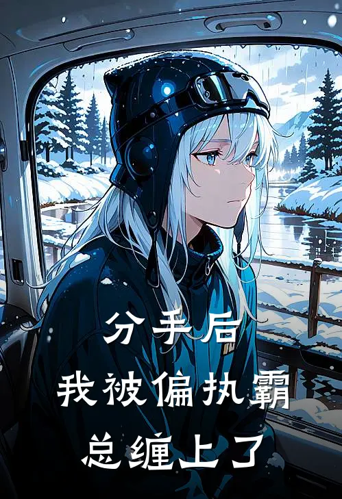 分手后，我被偏执霸总缠上了