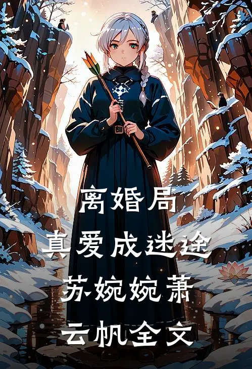 离婚局，真爱成迷途苏婉婉萧云帆全文