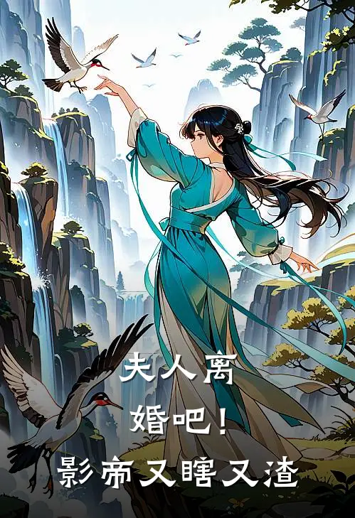 夫人离婚吧！影帝又瞎又渣