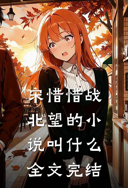 宋惜惜战北望的小说叫什么全文完结