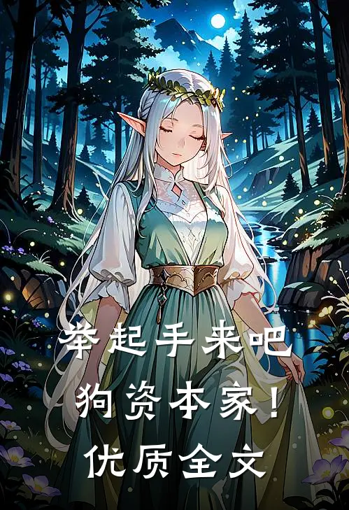 举起手来吧狗资本家！优质全文