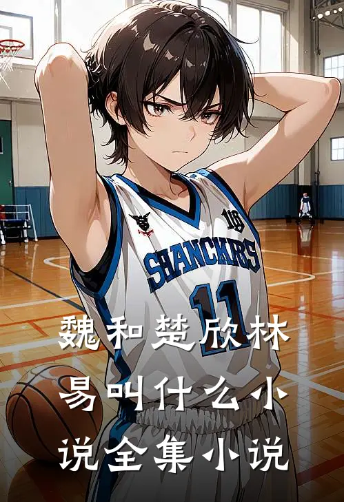 魏和楚欣林易叫什么小说全集小说