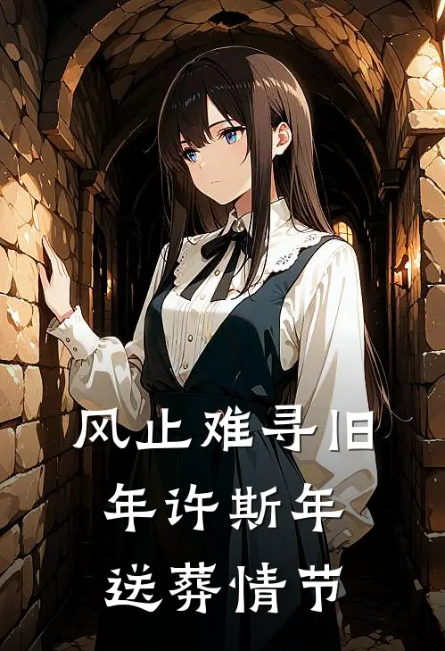 风止难寻旧年许斯年送葬情节